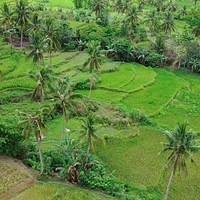 Pilar Farm photo